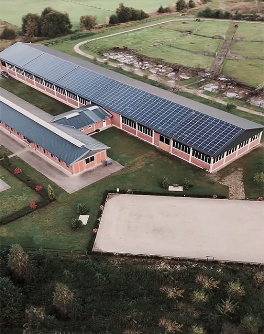 Sportpferde Scholz in Sassenberg, Germany