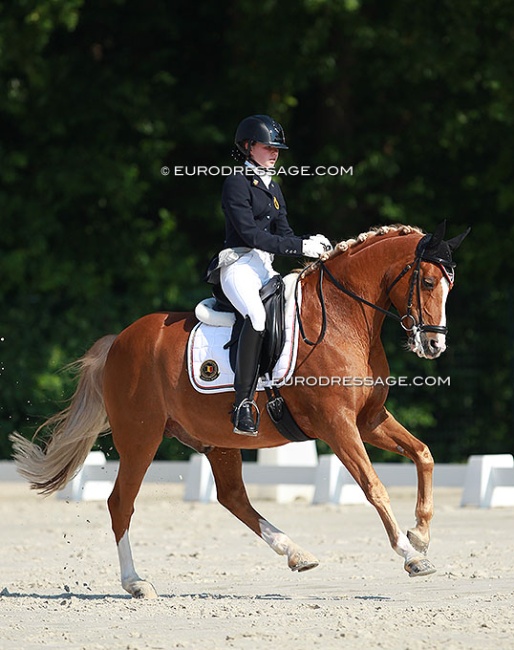 Inne Peytier and Schermeer Hof's Aladin at the 2014 CDI Compiegne :: Photo © Astrid Appels