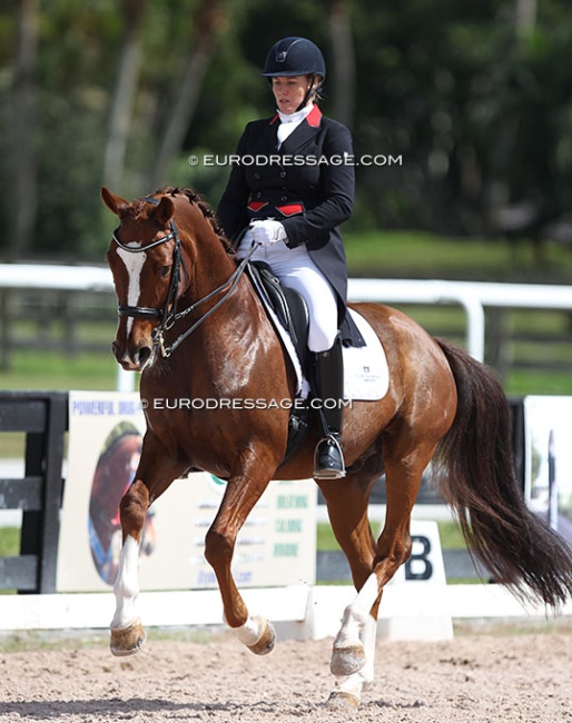 Karen Pavicic and Totem at the 2020 CDN Wellington :: Photo © Astrid Appels