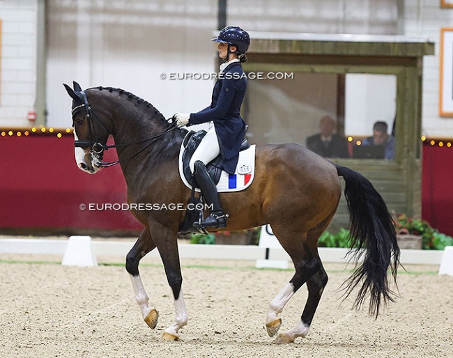 Justine Ludot and San Cloud's Lucky at the 2024 CDI Kronenberg Indoor :: Photo © Astrid Appels
