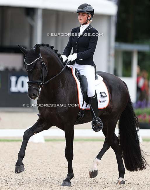 Obsession Taonga at the 2024 World Young Horse Championships :: Photo © Astrid Appels