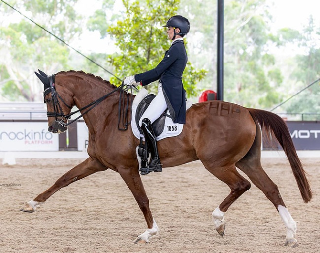 Sally Rizzuto on her small tour horse Quaterland at the 2025 CDI Bawley Point :: Photo © Amy-Sue Alston