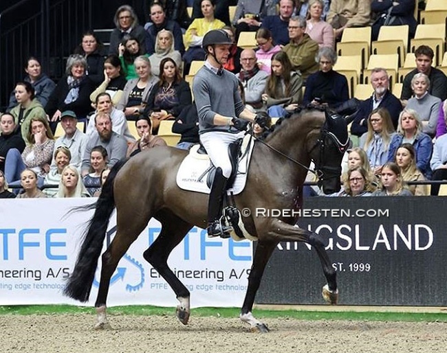 Daniel Bachmann Andersen test-riding Soulmate Askehaven in Herning :: Photo © Ridehesten