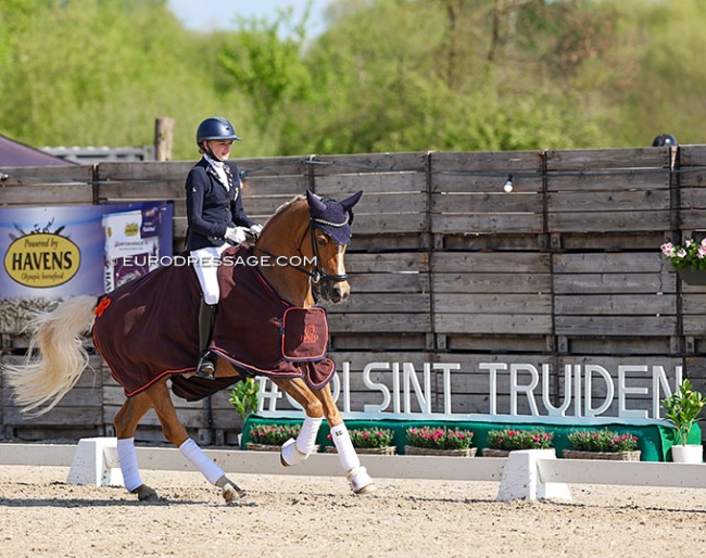 Swedish Jennifer Lindstedt and Falco win two pony classes at the 2025 CDI Sint-Truiden :: Photo © Astrid Appels