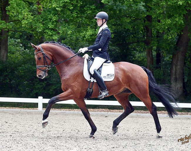 Lukas Fischer and Bergolio OLD in 2016 :: Photo © Rüchel