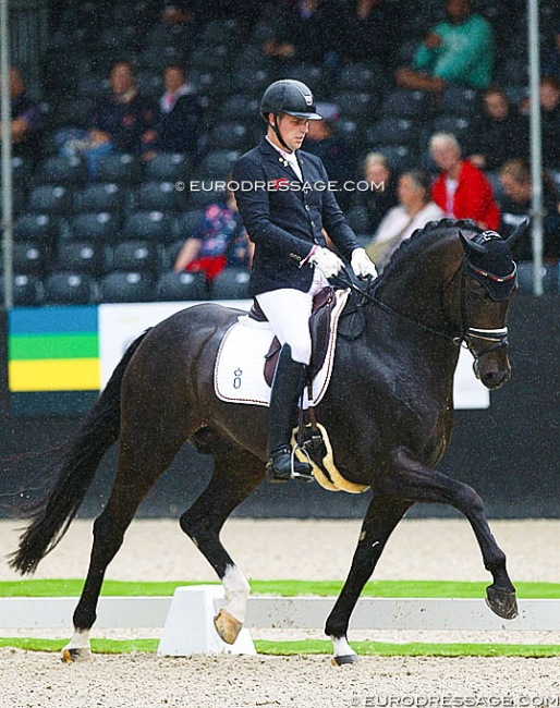 After winning the 2019 World Young Horse Championships, Zucchero tragically passed away following a colic attack :: Photo © Astrid Appels