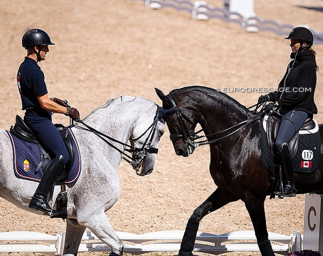 Not everything in the horse world is black and white :: Photo © Astrid Appels