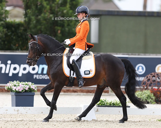 Sanne Glissenaar and Filippo at the 2024 European Pony Championships :: Photo © Astrid Appels