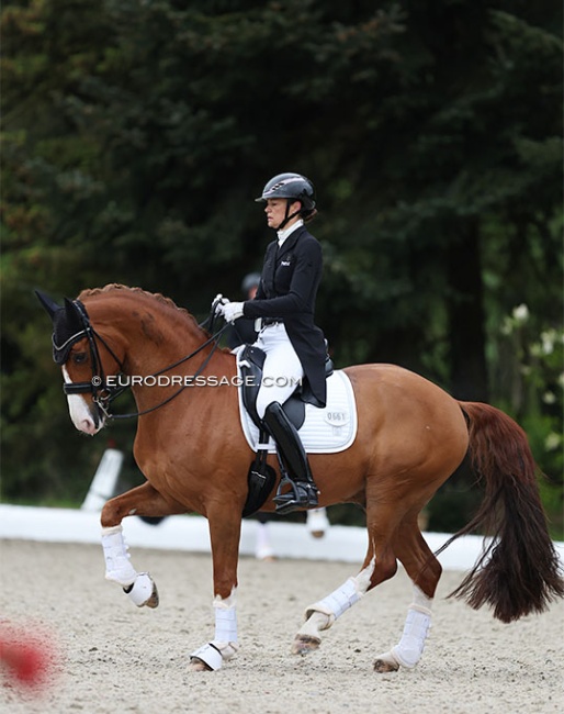 Jessica Michel and Djembe de Hus at the 2024 CDI Hagen :: Photo © Astrid Appels