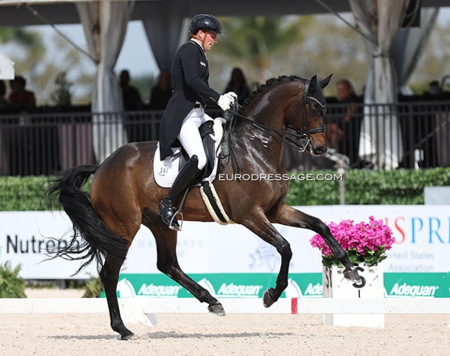 Frederic Wandres and Joy Game at the 2024 CDI Wellington :: Photo © Astrid Appels