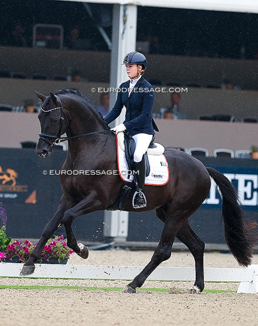 Robin Heiden and One Million at the 2024 World Young Horse Championships