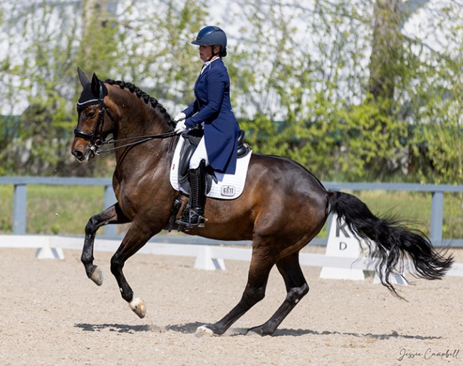 Brittney Simpson on Goldfinch at the 2025 CDI Calgary :: Photo © Jesse Campbell