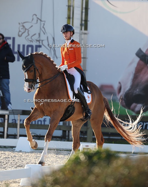 Tessa Kole competes the 7-year old Nachtwacht at international junior level, here at the 2025 CDIO Lier :: Photo © Astrid Appels