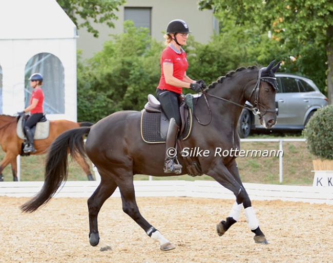 At the 2025 CPEDI Mannheim Swiss stalwart Nicole Geiger’s Oldenburger Donar Weltino showed he has gained strength and expression since Paris