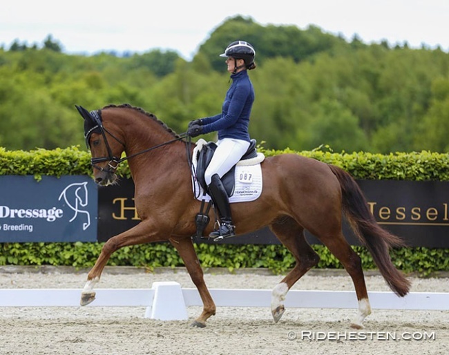 Betina Jaeger on Fredensdals Impressive (by Imposantos x De Noir) :: Photo © Ridehesten