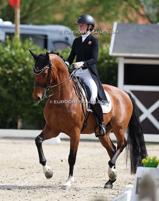 Ida Bjorn and Hussmann's Jackson at the 2025 CDI Sint-Truiden :: Photo © Astrid Appels