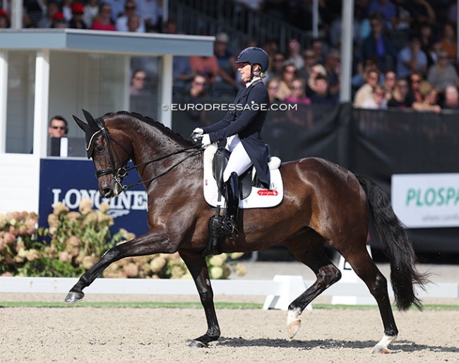 Sadie Smith and Swanmore Dantina at the 2022 World Young Horse Championships in Ermelo :: Photo © Astrid Appels