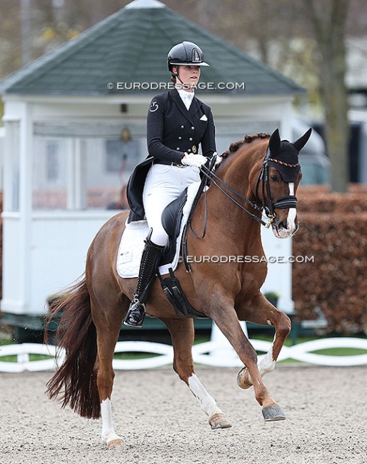 Celestine Kindler on Quotenkönig at the 2024 Aachen Festival 4 Dressage :: Photo © Astrid Appels