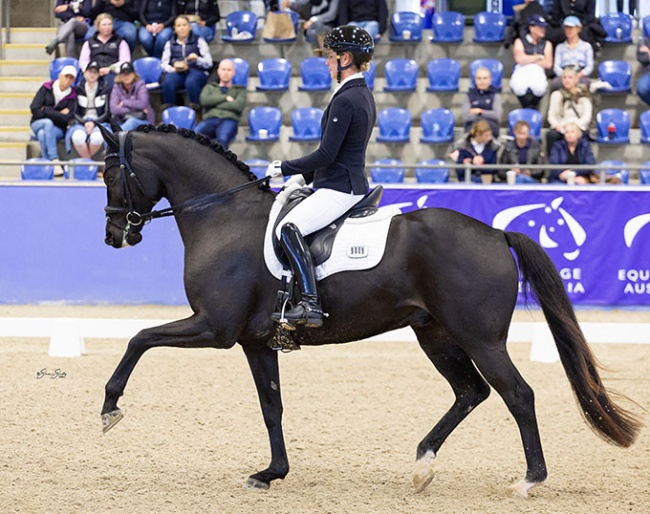 Alexandra Vodermair and Exact in the national young horse classes at the 2024 CDI Sydney :: Photo © Simon Scully