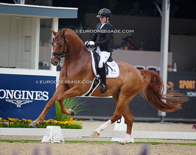 Jennifer Stein on Bernadette Brune's Enrico de Hus at the 2024 World Young Horse Championships :: Photo © Astrid Appel