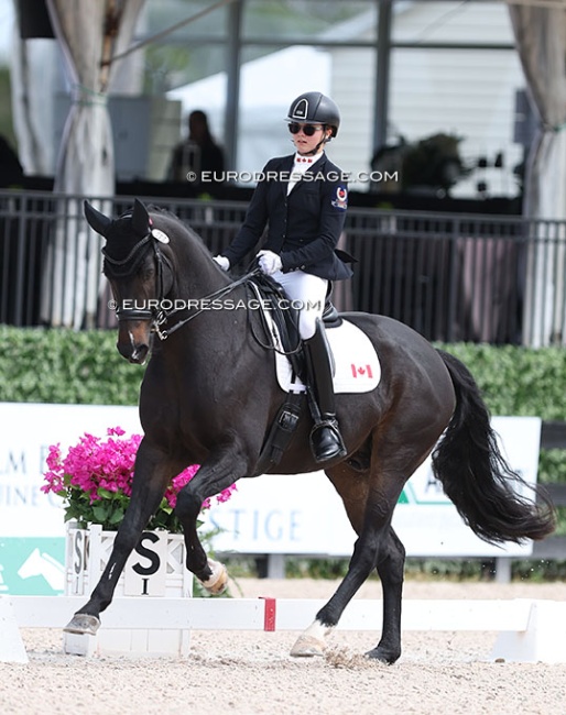Lea Landreville Cloutier on Guus at the 2025 CDIO Wellington :: Photo © Astrid Appels