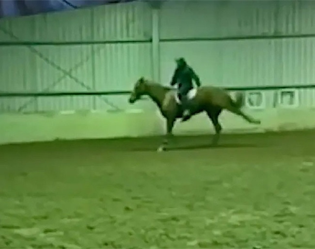 Screen capture from Heath Ryan's alleged animal abuse video
