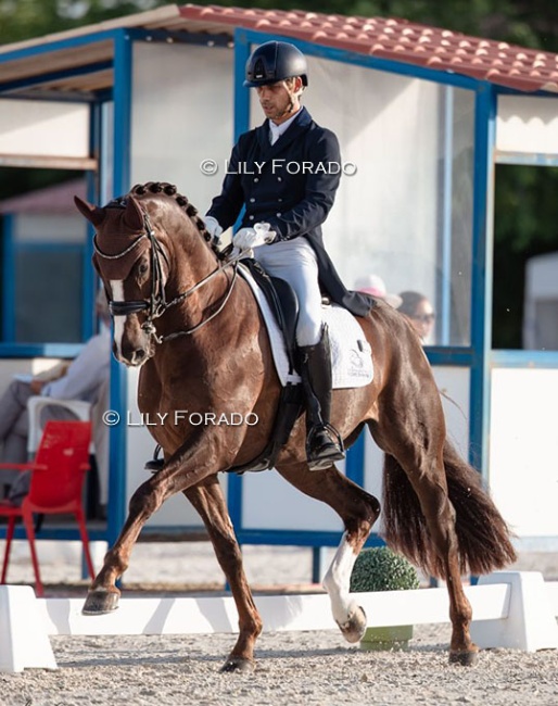 Spain's shooting star at the Nationals was Francisco Benitez Sanchez on Lord Platinum. He has been nominated for Deauville :: Photo © Lily Forado