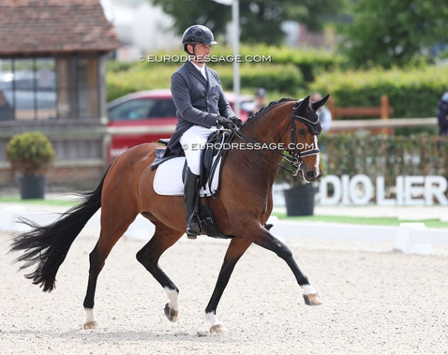 Betrand Liegard and Ginger at the 2025 CDIO Lier :: Photo © Astrid Appels