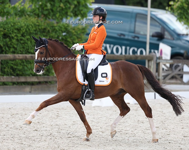 Esmae NIessen and Strandgaards Do It My Way at the 2025 CDIO Lier :: Photo © Astrid Appels