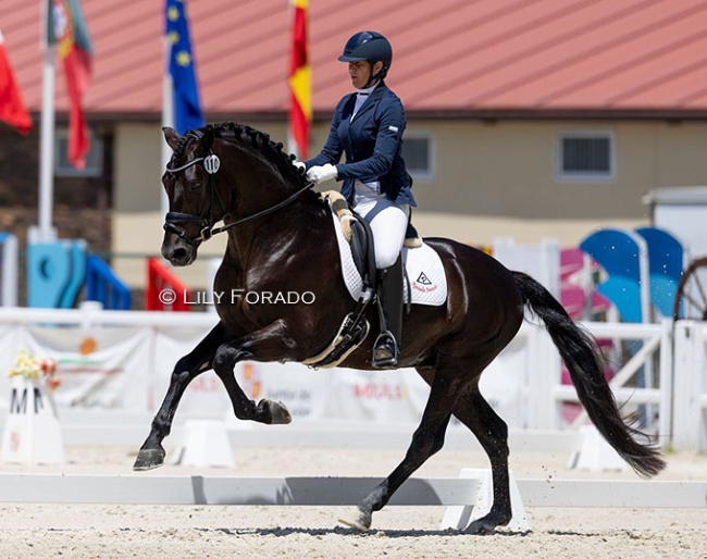 There is a lot of buzz about Cristina Perona and 5-year old Rey de Peron who stood out at the 2025 CDI-YH Segovia :: Photo © Lily Forado