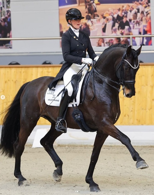 Leonie Richter and So Perfect at the 2025 CDN Vechta :: Photo © Mhisen