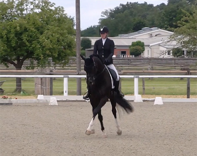 Belgian Olympian Flore de Winne on the Westfalian stallion Eleven at the first German WCYH selection trial in Warendorf