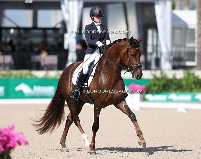 Hope Cooper and O Romeo S at the 2025 CDI Wellington :: Photo © Astrid Appels