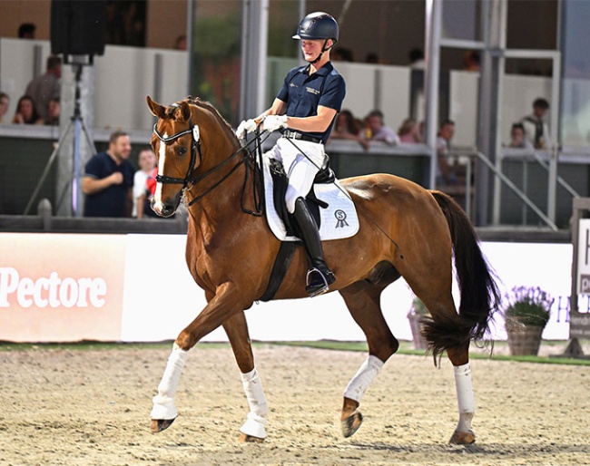 Valentin Munkedal aboard Imo Pectore, the dressage best seller of the 2025 Hof Kasselmann Hybrid Auction :: Photos © Ruchel