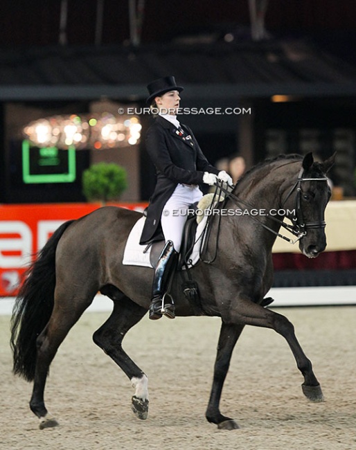 Camille Judet Cheret and Ronaldo at the 2011 Zwolle International Stallion Show :: Photo © Astrid Appels