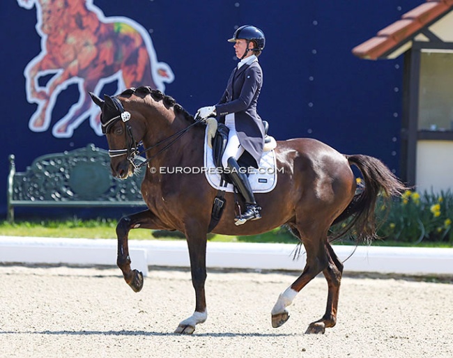Laurence Vanommeslaghe on Edison at the 2022 CDI Hagen :: Photo © Astrid Appels