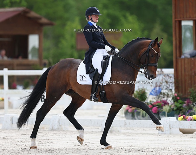 Nanna Skodborg Merrald on Blue Hors Monte Carlo at the 2024 CDIO Compiegne :: Photo © Astrid Appels