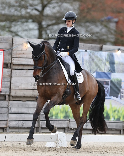 Carina Scholz and Quinto at the 2024 CDI Sint-Truiden :: Photo © Astrid Appels