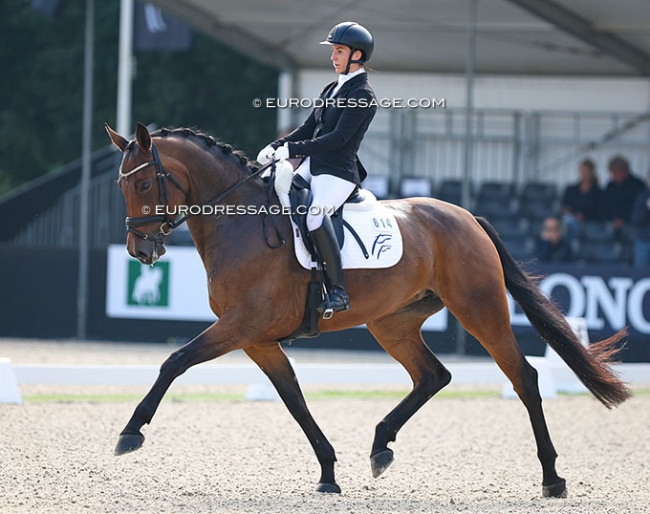 Hagels Rosophia at last year's World Young Horse Championships under Victoria Aro :: Photo © Astrid Appels