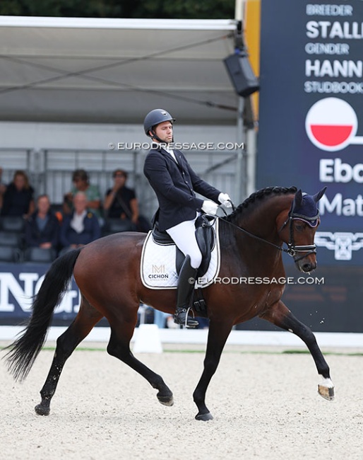 Mateusz Cichon on Ebano at the 2024 World Young Horse Championships :: Photo © Astrid Appels