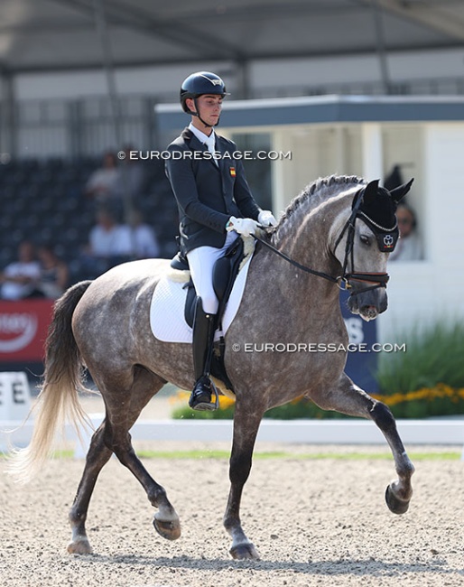Alejandro Oliva and Dintel at the 2024 World Young Horse Championships :: Photo © Astrid Appels