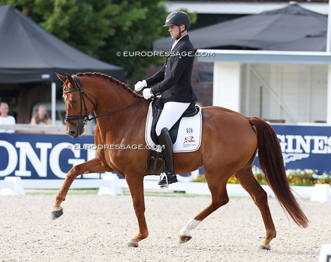 Stefan Wolff and Elliot the Dancer at the 2024 World Young Horse Championships :: Photo © Astrid Appels