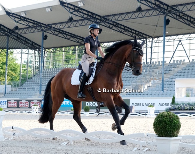 Ingrid Klimke schooling Vayron in the Aachen dressage stadium on vet check day :: Photo © Barbara Schnell