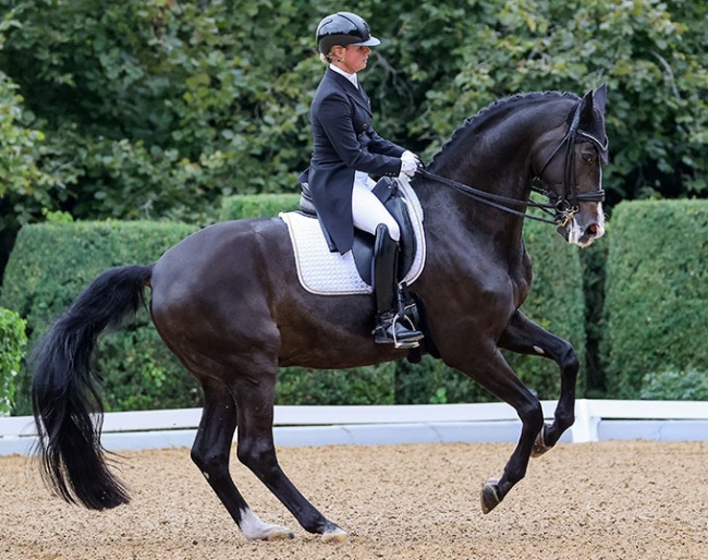 Victoria Max-Theurer and Abegglen at the 2025 CDI Achleiten :: Photo © CDI Achleiten