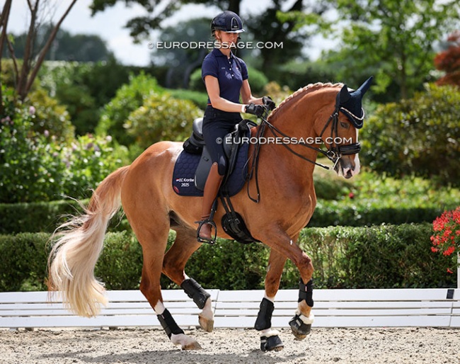 Tesse Kole and the 7-year old Nachtwacht during the ring familiarisation at the 2025 European Young Riders Championships :: Photo © Astrid Appels