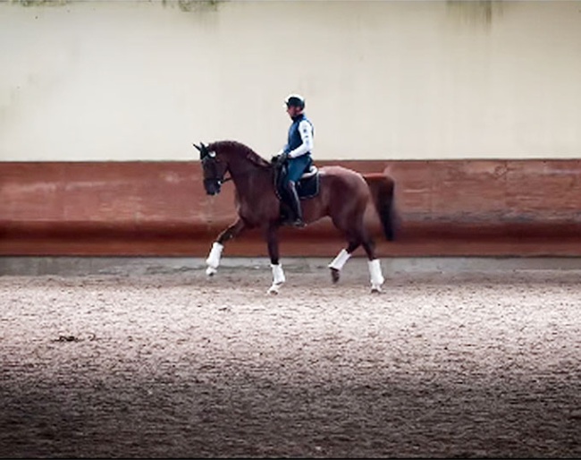 Antonio Sala on Prince Vince WM