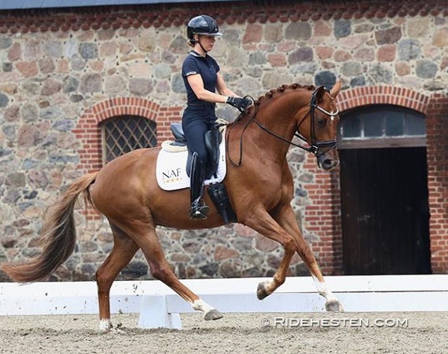 Selina Solberg Vittinghus on Atterupgaards Daimi :: Photo © Ridehesten