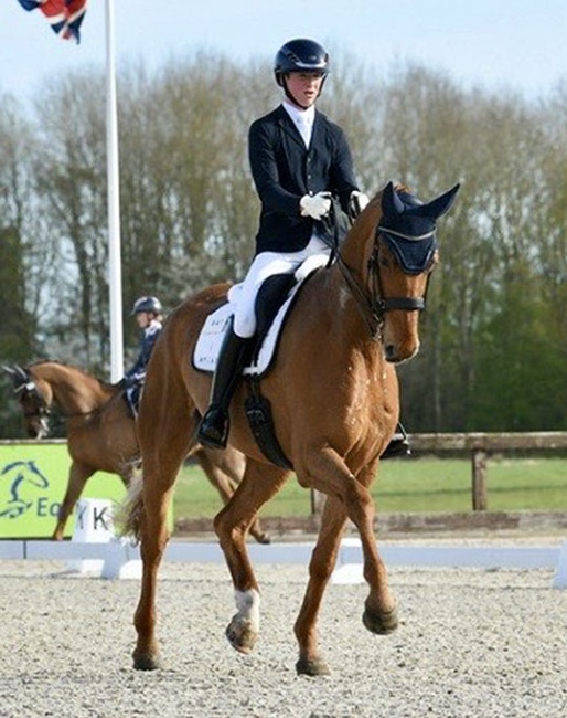 Rubin Regal (by Rubin Royal x Dimaggio)