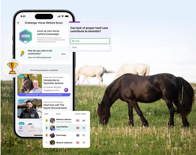 Ridely Launches Groundbreaking Horse Welfare Score