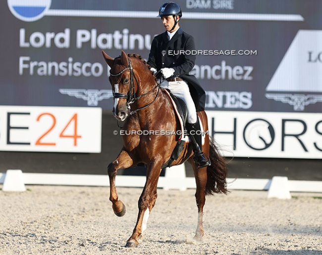 Spanish team newcomer Francisco Benitez on Lord Platinum :: Photo © Astrid Appels